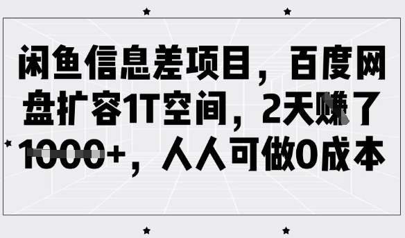 闲鱼信息差项目，百度网盘扩容1T空间，2天收益1k+，人人可做0成本-谷进海小站