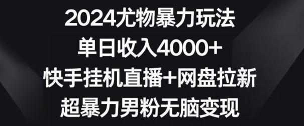 2024尤物暴力玩法，单日收入4000+，快手挂机直播+网盘拉新，超暴力男粉无脑变现【揭秘】-谷进海小站