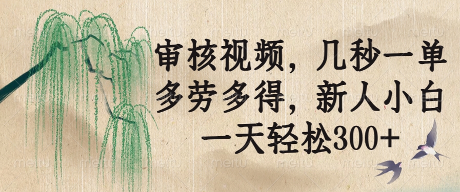 审核视频，几秒一单，多劳多得，新人小白一天轻松300+-谷进海小站