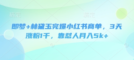 即梦+林黛玉完爆小红书商单，3天涨粉1千，靠怼人月入5k+-谷进海小站