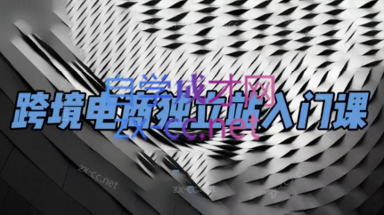 团长·跨境电商独立站入门课(2小时精华)-谷进海小站