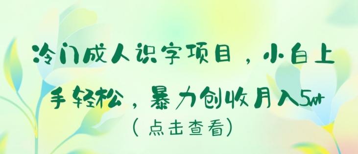 冷门成人识字项目，小白上手轻松，暴力创收月入5w+【揭秘】-谷进海小站