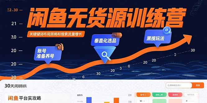 闲鱼无货源训练营：账号准备养号/垂直化选品/黑搜玩法，0基础30天盈利指南-谷进海小站