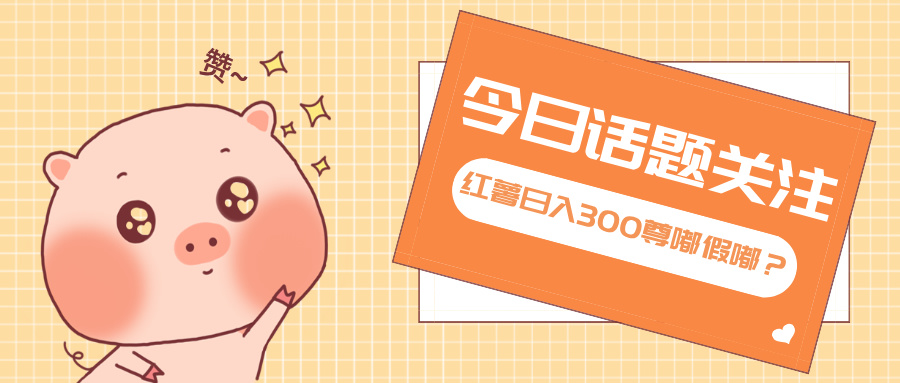 全新红薯浏览，打破常规 双端操作，每天运行6小时，让你获得工作以外的…-谷进海小站