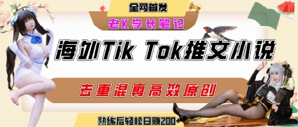 海外tiktok小说推文暴力项目，高停留率，高转化率，上手后一天搞顿饭钱不是问题-谷进海小站