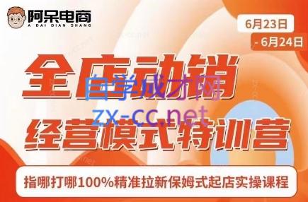 阿呆电商·全店动销经营模式特训营(线下录音+思维导图)-谷进海小站