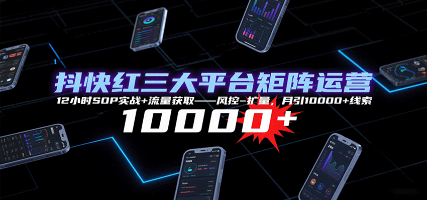 抖快红三大平台矩阵运营，12小时SOP实战+流量获取-风控-扩量，月引10000+线索-谷进海小站