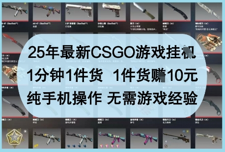 25年最新CSGO游戏挂G，1分钟1件货，1件货挣10元，纯手机操作，无需游戏经验【揭秘】-谷进海小站