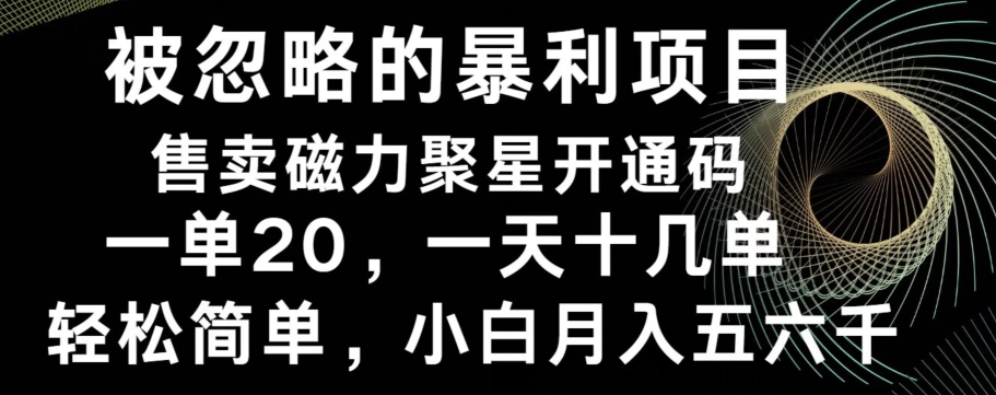 被忽略的暴利项目！售卖磁力聚星开通码，一单20，一天十几单，轻松月入五六千-谷进海小站