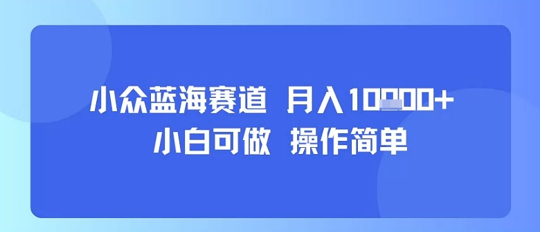小众蓝海赛道，小白可做，操作简单，每天30分钟，月入1W+-谷进海小站