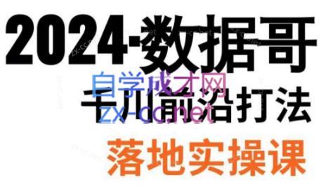 数据哥·2024年千川前沿打法落地实操课-谷进海小站