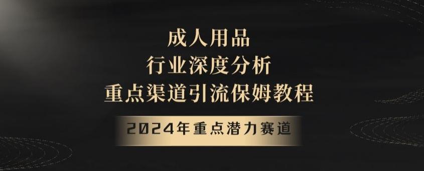2024年重点潜力赛道，成人用品行业深度分析，重点渠道引流保姆教程【揭秘】-谷进海小站