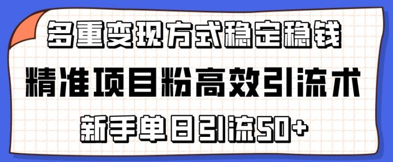 精准项目粉高效引流术，新手单日引流50+，多重变现方式稳定赚钱【揭秘】-谷进海小站