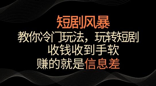 短剧风暴，教你冷门玩法，玩转短剧，收钱收到手软【揭秘】-谷进海小站