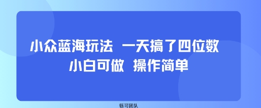 小众蓝海玩法 一天搞了四位数 小白可做 操作简单-谷进海小站