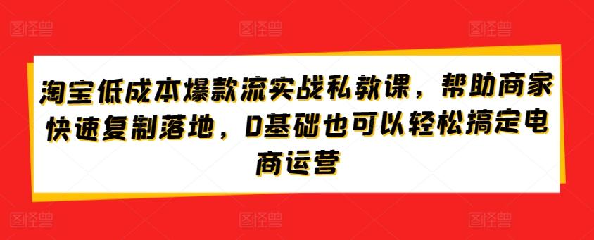 淘宝低成本爆款流实战私教课，帮助商家快速复制落地，0基础也可以轻松搞定电商运营-谷进海小站
