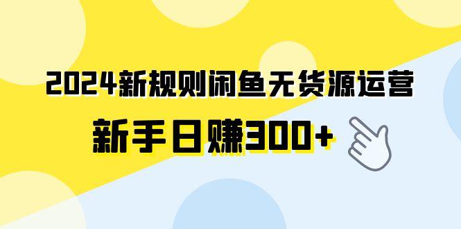 (9522期)2024新规则闲鱼无货源运营新手日赚300+-谷进海小站