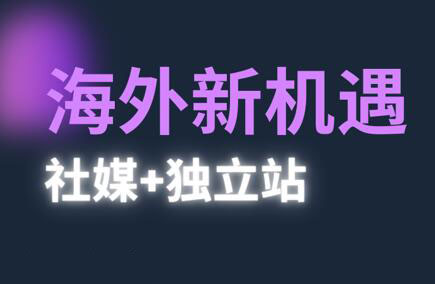 棕榈·2025出海新机遇(社媒+独立站)-谷进海小站