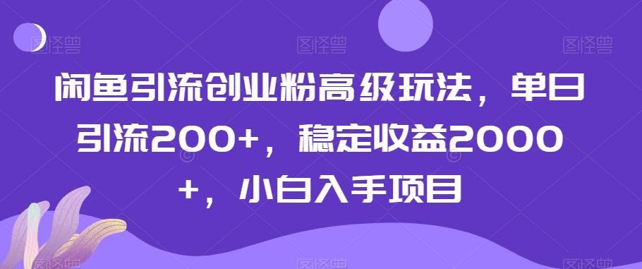 闲鱼引流创业粉高级玩法，单日引流200+，稳定收益2000+，小白入手项目-谷进海小站