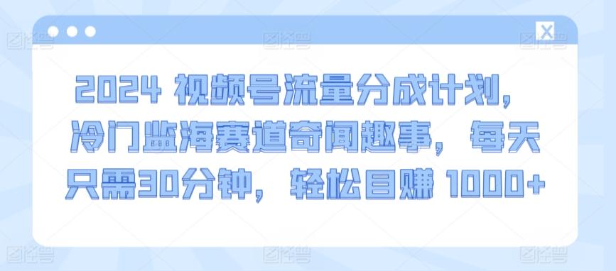 2024视频号流量分成计划，冷门监海赛道奇闻趣事，每天只需30分钟，轻松目赚 1000+【揭秘】-谷进海小站
