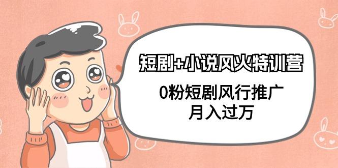 (9374期)短剧+小说风火特训营，0粉短剧风行推广，月入过万(102节课)-谷进海小站