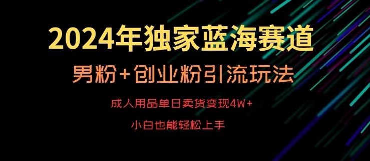 2024年独家蓝海赛道，成人用品单日卖货变现4W+，男粉+创业粉引流玩法，不愁搞不到流量【揭秘】-谷进海小站