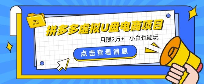 拼多多虚拟U盘电商红利项目：月赚2万+，新手小白也能玩-谷进海小站