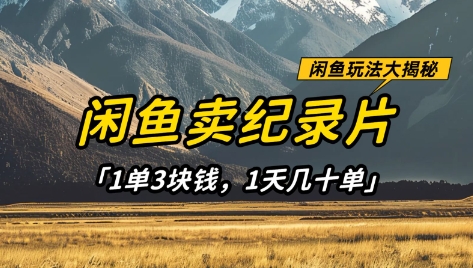 闲鱼卖纪录片1单3块钱，1天几十单，项目稳定有潜力-谷进海小站