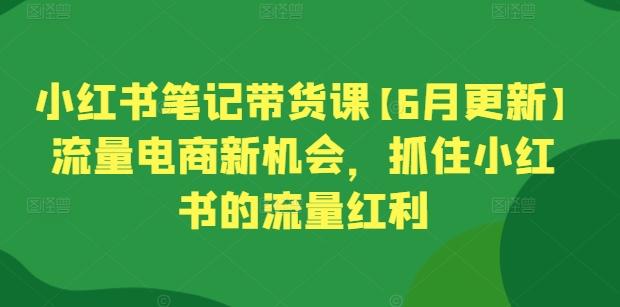 小红书笔记带货课【6月更新】流量电商新机会，抓住小红书的流量红利-谷进海小站