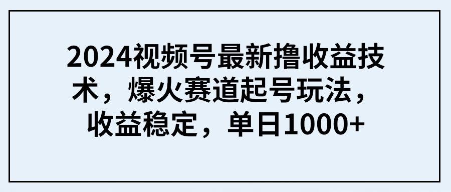 (9651期) 2024视频号最新撸收益技术，爆火赛道起号玩法，收益稳定，单日1000+-谷进海小站