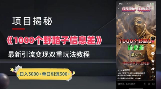 一千个野路子信息差最新玩法教程-变现+引流的玩法具体拆解【揭秘】-谷进海小站