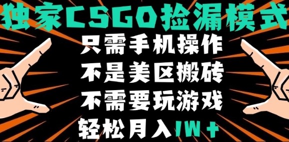 CSGO自动捡漏项目，最新独家玩法，不是美区搬砖，不需要了解和玩游戏，新手小白轻松月入1W+【揭秘】-谷进海小站