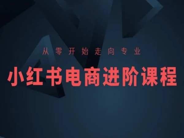 从零开始走向专业，小红书电商进阶课程-谷进海小站