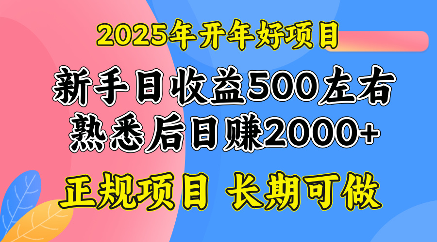 2025开年好项目，单号日收益2000左右-谷进海小站