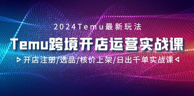 2024Temu跨境开店运营实战课，开店注册/选品/核价上架/日出千单实战课-谷进海小站