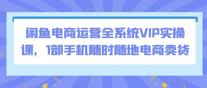 闲鱼电商运营全系统VIP实操课，1部手机随时随地电商卖货-谷进海小站