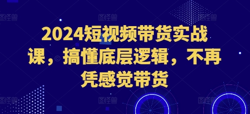 2024短视频带货实战课，搞懂底层逻辑，不再凭感觉带货-谷进海小站
