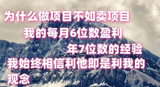 做项目不如卖项目，每月6位数盈利，年7位数经验-谷进海小站