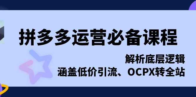 拼多多运营必备课程，解析底层逻辑，涵盖低价引流、OCPX转全站-谷进海小站