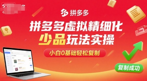 拼多多虚拟精细化少品玩法实操，小白0基础轻松复制-谷进海小站
