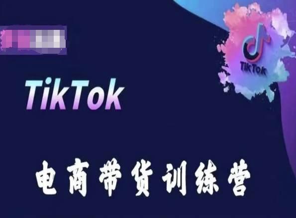 TikTok电商带货训练营，跟随时代潮流，跨境掘金-谷进海小站