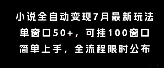 小说全自动变现7月玩法，单窗口50+，可挂100窗口，简单上手，全流程限时公布【揭秘】-谷进海小站