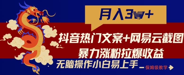 抖音热门文案+网易云截图暴力涨粉拉爆收益玩法，小白无脑操作，简单易上手【揭秘】-谷进海小站