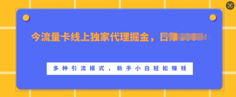 流量卡线上独家代理掘金，日入1k+ ，多种引流模式，新手小白轻松上手【揭秘】-谷进海小站