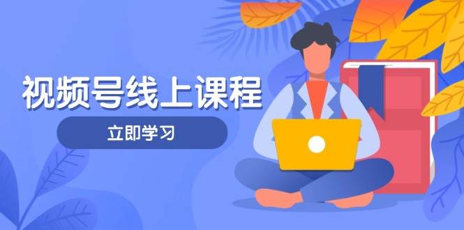 视频号实战课程，轻IP打造与运营技巧，掌握核心方法与策略-谷进海小站