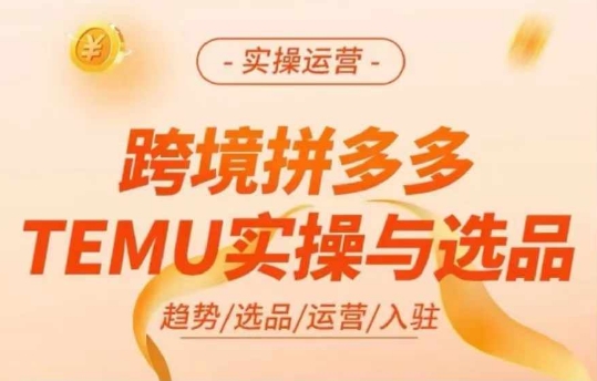 跨境拼多多TEMU实操与选品，多多temu跨境选品运营实操-谷进海小站