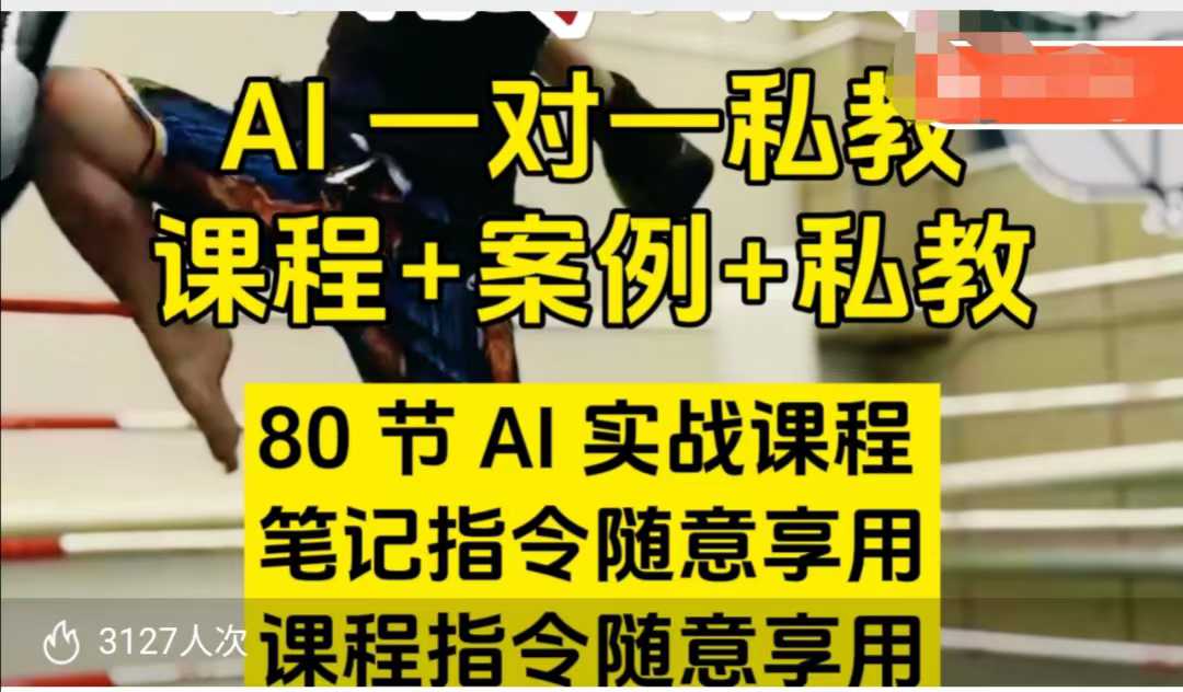 AI指令实战课，课程+案例，80节AI实战课程，笔记指令随意享用，课程指令随意享用(更新7月)-谷进海小站
