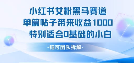 小红书女粉黑马赛道单篇帖子带来收益1k+，特别适合0基础的小白-谷进海小站