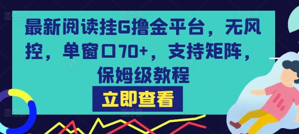 最新阅读挂G撸金平台，无风控，单窗口70+，支持矩阵，保姆级教程【揭秘】-谷进海小站