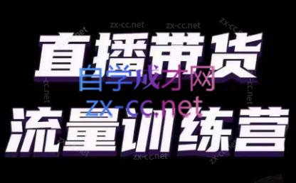 婉婉·直播带货课程系列合集(更新8月)-谷进海小站